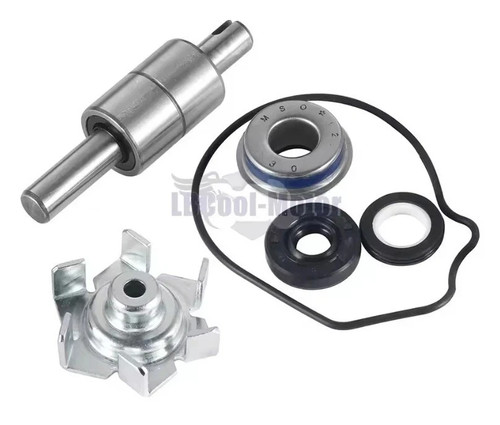 Kit revisione pompa acqa honda - kit,