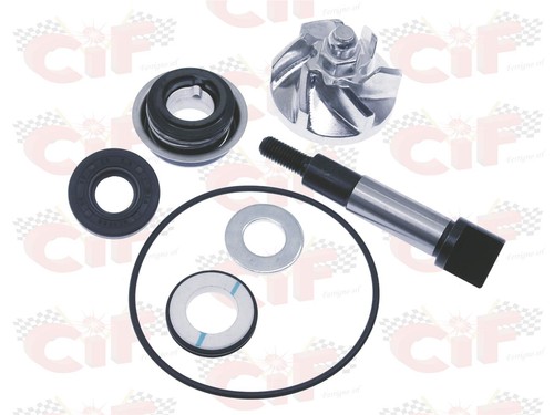Kit revisione pompa - revisione,